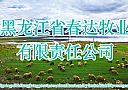 黑龙江省春达牧业项目
